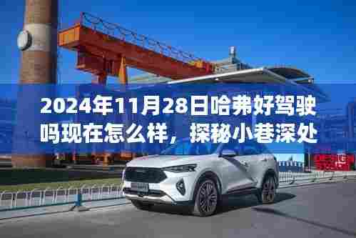 哈弗好车探秘,小巷深处的驾驶体验与美食瑰宝邂逅记