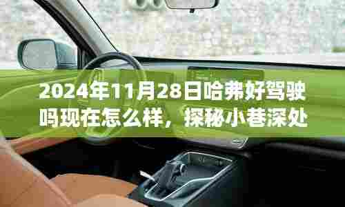 哈弗好车探秘,小巷深处的驾驶体验与美食瑰宝邂逅记