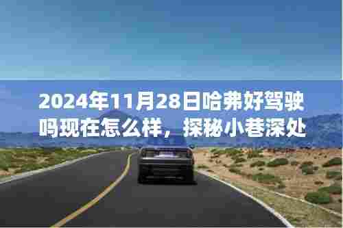 哈弗好车探秘,小巷深处的驾驶体验与美食瑰宝邂逅记