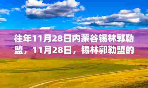 锡林郭勒盟暖阳下的家之故事，11月28日的温馨回忆