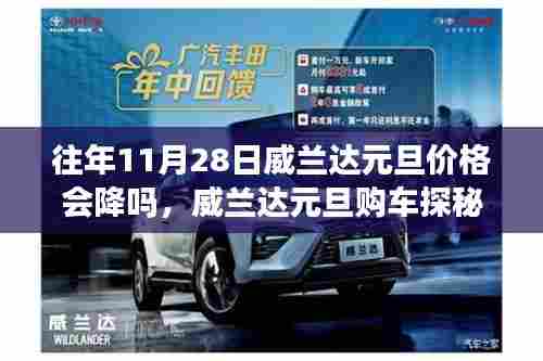 威兰达元旦购车探秘,历年价格走势与温馨购车体验之旅