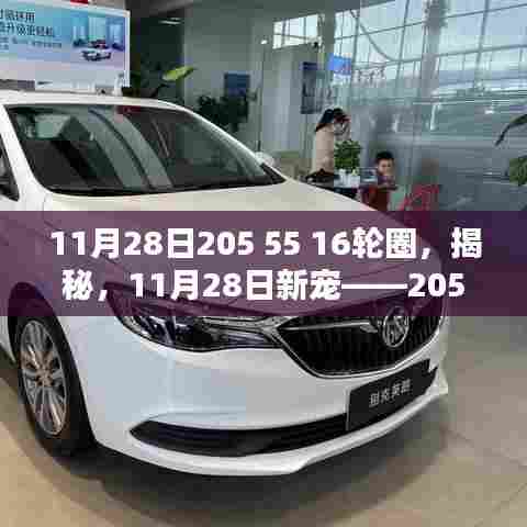 揭秘,理想之选——11月28日新款205 55 16轮圈详解