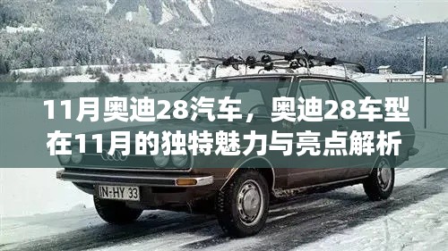 11月奥迪28车型独特魅力与亮点解析