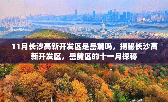 揭秘长沙高新开发区,岳麓区十一月探秘之旅