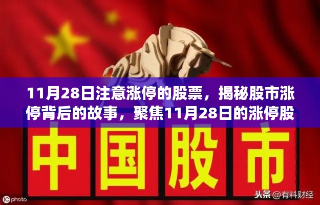 揭秘股市风云,聚焦11月28日涨停股风云背后的故事
