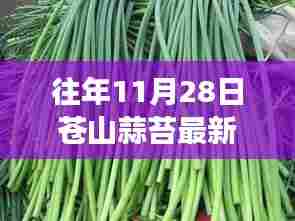 苍山蒜苔出库新篇章，往年价格回顾与成长力量的启示