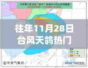 台风天鸽强势登陆,前沿资讯与案例分析(历年案例详解)