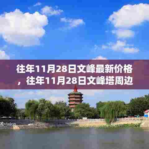 往年11月28日文峰最新价格及文峰塔周边房价查询指南,适合初学者与进阶用户