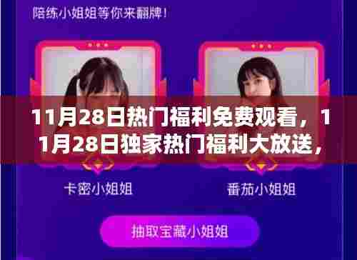 11月28日独家福利大放送,免费观看精彩内容的极致体验