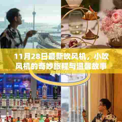 最新吹风机揭秘，小吹风的奇妙之旅与温馨故事（11月28日）