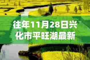平旺湖畔奇遇日,最新动态与情感纽带下的温馨时光纪实报道