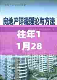 房地产税务新风向下的自信与成长之旅，拥抱变革的历程（或揭秘）
