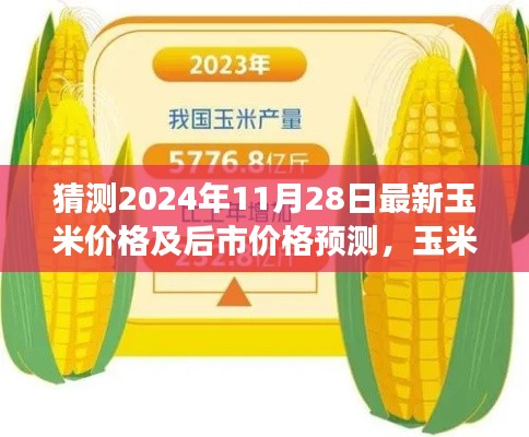 玉米情缘,揭秘未来价格预测与友情交织的故事,预测玉米最新价格及后市走势