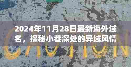 探秘寻常巷陌,异域风情小店新发现与海外域名揭秘(2024年11月28日)