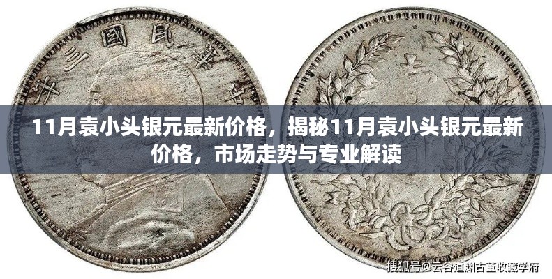 揭秘,11月袁小头银元最新价格及市场走势专业解读