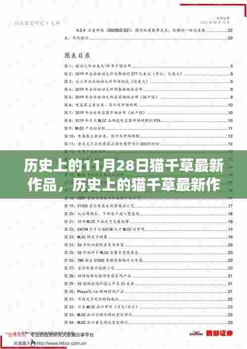 猫千草最新作品深度解读与观点阐述,历史上的11月28日回顾与阐述。