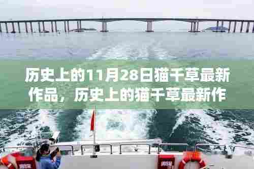 猫千草最新作品深度解读与观点阐述,历史上的11月28日回顾与阐述。