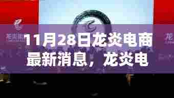 龙炎电商最新动态解析，聚焦三大要点深度解读（11月28日最新消息）