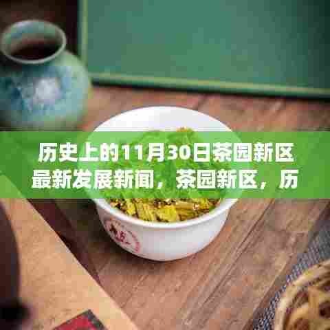 茶园新区,历史脉络下的最新发展纪实——11月30日新闻速递