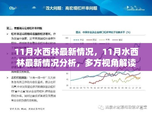 多方视角下的解读,水西林最新情况分析与我的观点阐述