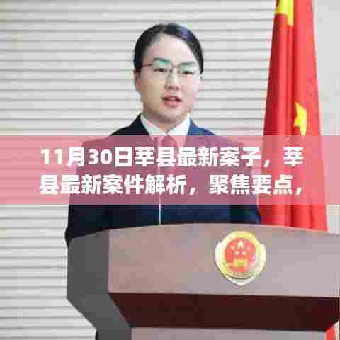 莘县最新案件解析,深度探讨案件细节与要点聚焦(11月30日)