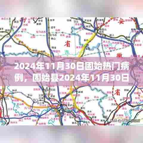 固始县热门病例处理指南，从初学者到进阶用户的实用步骤（2024年11月30日版）