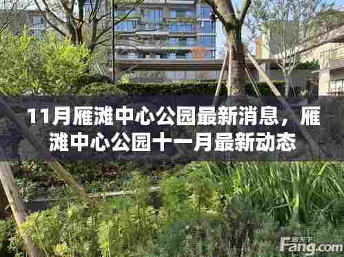 雁滩中心公园十一月最新动态与消息更新