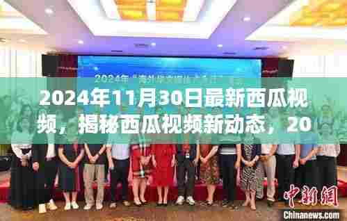 揭秘西瓜视频新动态,独特体验下的新篇章(2024年11月30日)