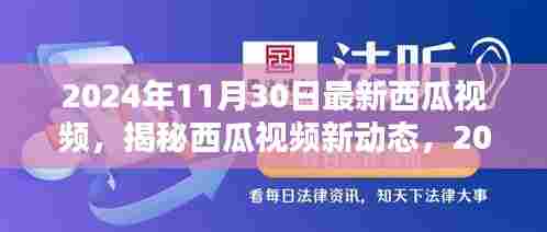 揭秘西瓜视频新动态,独特体验下的新篇章(2024年11月30日)