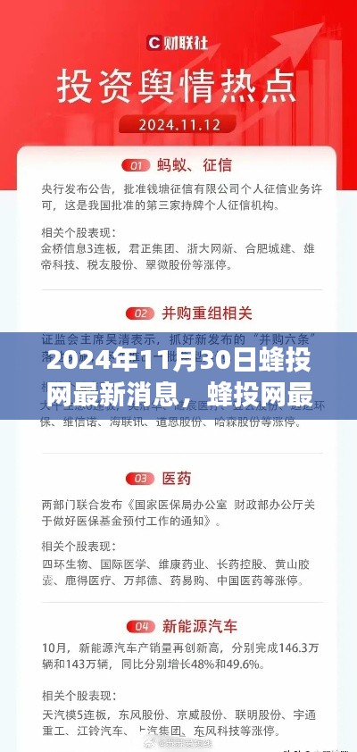 蜂投网最新动态深度解读,2024年11月30日最新消息