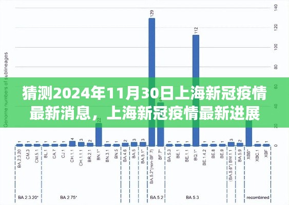 2024年11月30日上海新冠疫情预测与最新进展回顾