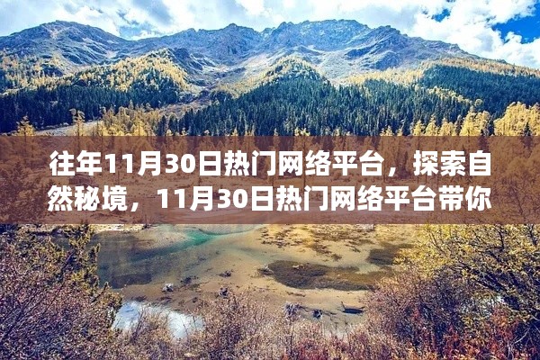 探索自然秘境，热门网络平台带你远离尘嚣的心灵之旅（11月30日）