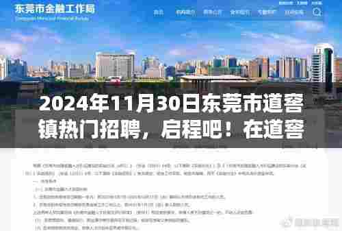 东莞市道窖镇绿色招聘盛会,寻找内心的宁静与平和之路,启程于2024年11月30日