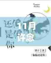 许念一凌慕容最新章节揭秘,十一月故事延续的悬念与进展