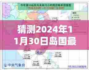 猜测2024年11月30日岛国最新官网，如何预测并访问岛国最新官网，2024年11月30日指南