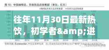 往年11月30日最新热饮制作全攻略,适合初学者与进阶用户的饮品制作指南