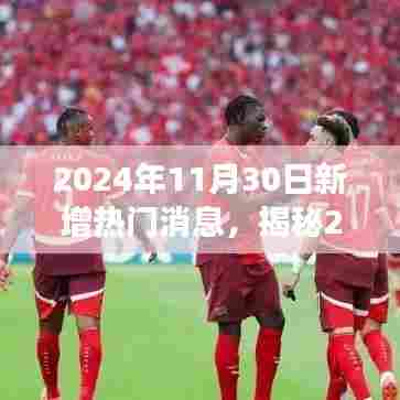 揭秘，最新热门消息深度解读——产品特性、用户体验与目标用户分析（2024年11月30日更新）