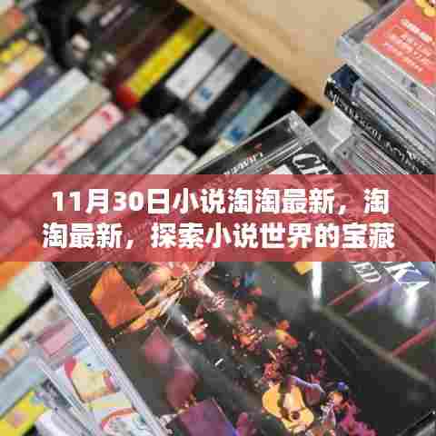 淘淘小说世界,最新宝藏探索之旅——11月30日特别版