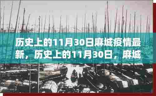 历史上的11月30日,麻城疫情最新进展回顾与展望
