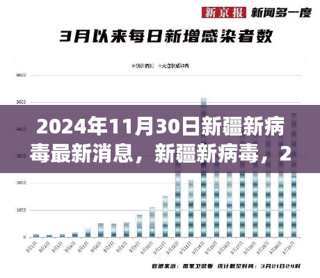 2024年新疆新病毒最新进展与影响洞察
