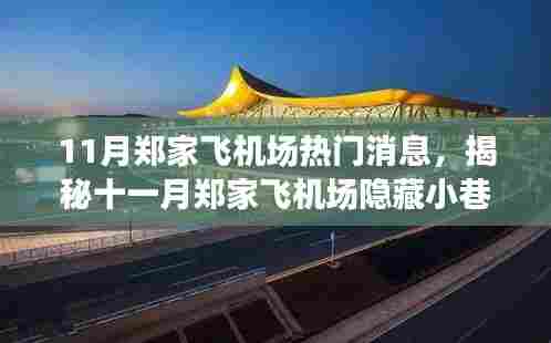 揭秘郑家飞机场隐藏小巷的独家美食，十一月热门消息与特色小店推荐