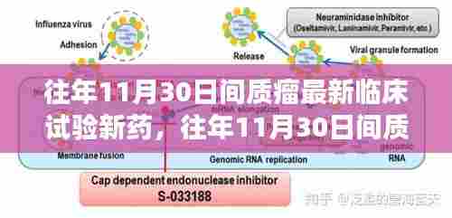 往年11月30日间质瘤新药临床试验解读，特性、体验及竞争态势全面剖析