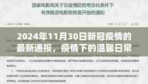 疫情下的温馨日常，最新通报与友情故事，2024年11月30日喜讯