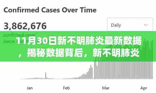 新不明肺炎最新数据解析与揭秘,11月30日步骤指南