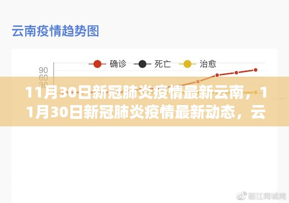 云南疫情防控进展报告,最新动态与进展