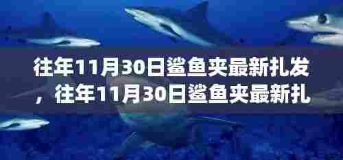 往年11月30日鲨鱼夹最新扎发,时尚观点碰撞中的个人立场探索