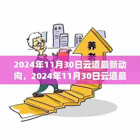 2024年11月30日云道最新动向,引领云计算领域革新