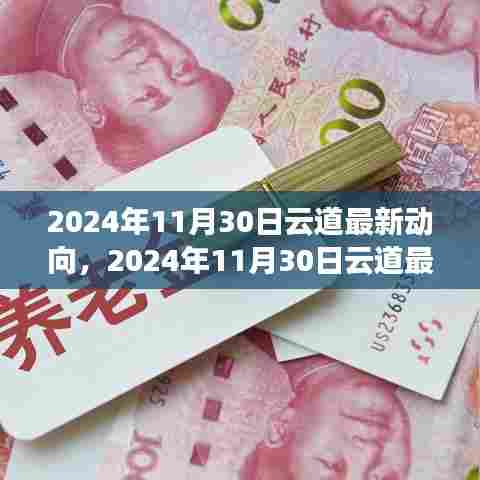 2024年11月30日云道最新动向,引领云计算领域革新