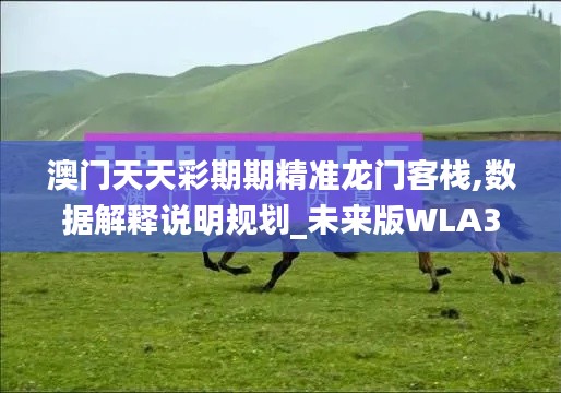 澳门天天彩期期精准龙门客栈,数据解释说明规划_未来版WLA30.173