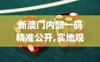 新澳门内部一码精准公开,实地观察解释定义_OQP88.613桌面款